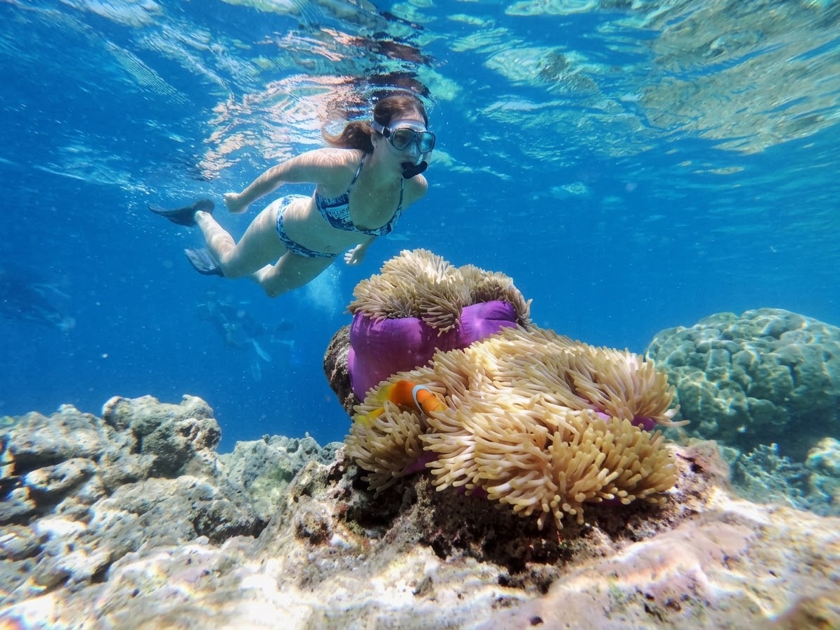 Snorkeling near anemone