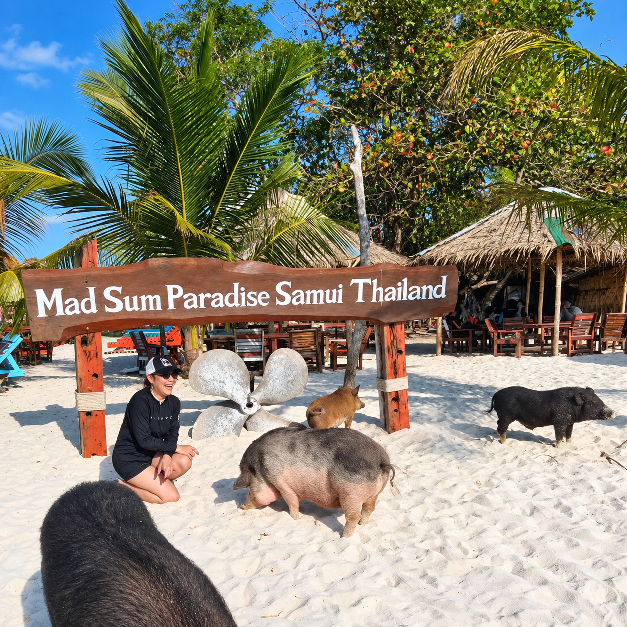 Mad Sum Paradise Samui Thailand sign